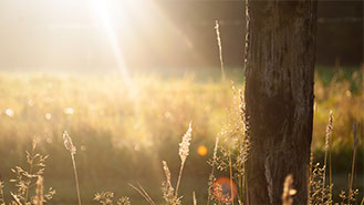 账号充值商城的网站攻击防护