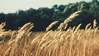 优化版高效的DDOS网页端